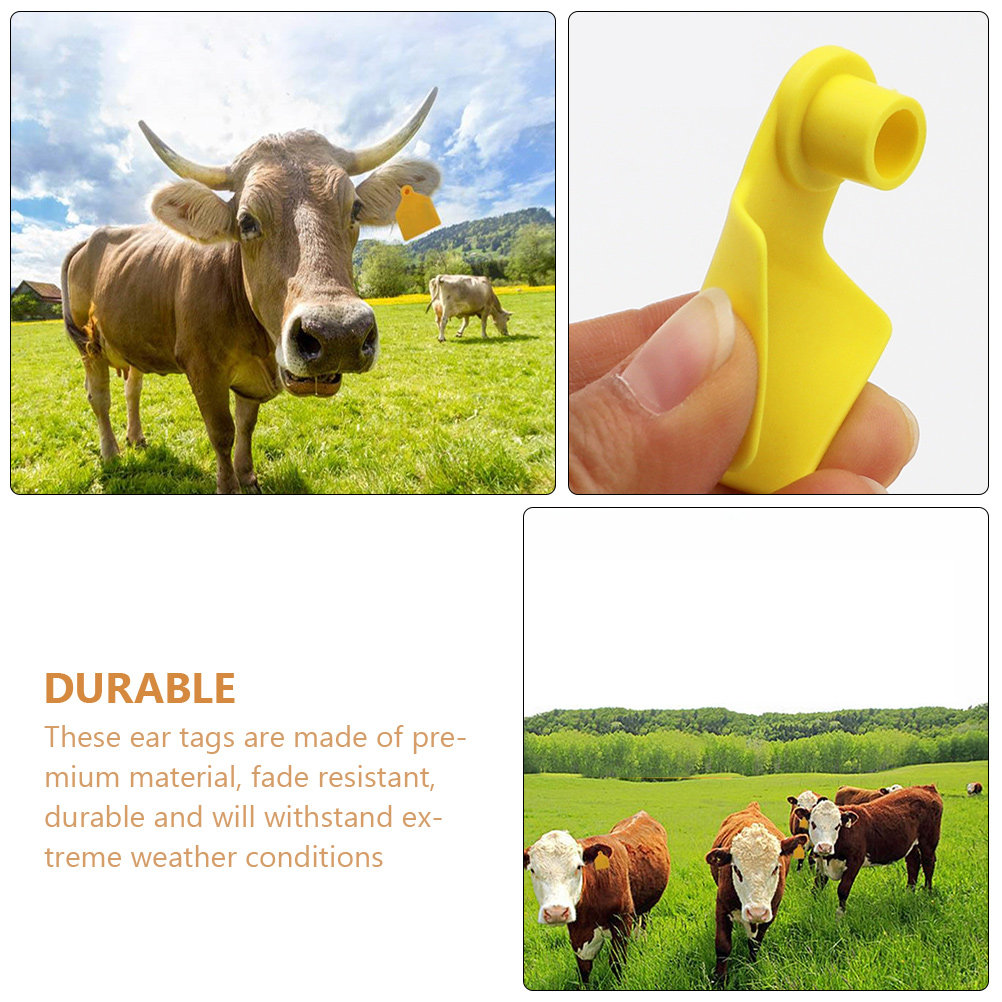 100Pcs Cow Ear Tag Blank Plast - Livestock Ear Tag ulasan dan harga