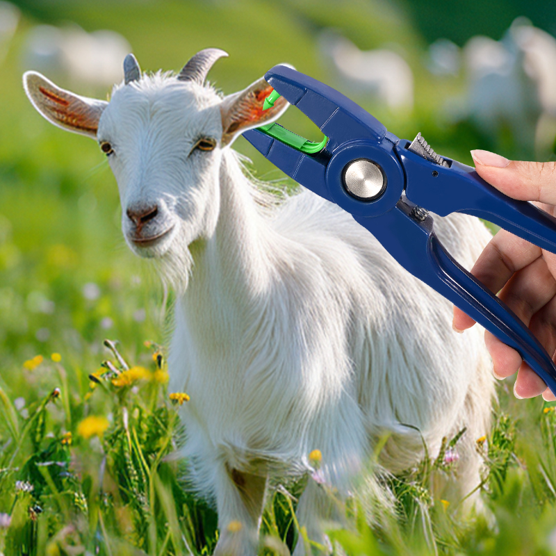 100pcs Integrated Sheep Ear Ta - Livestock Ear Tag ulasan dan harga